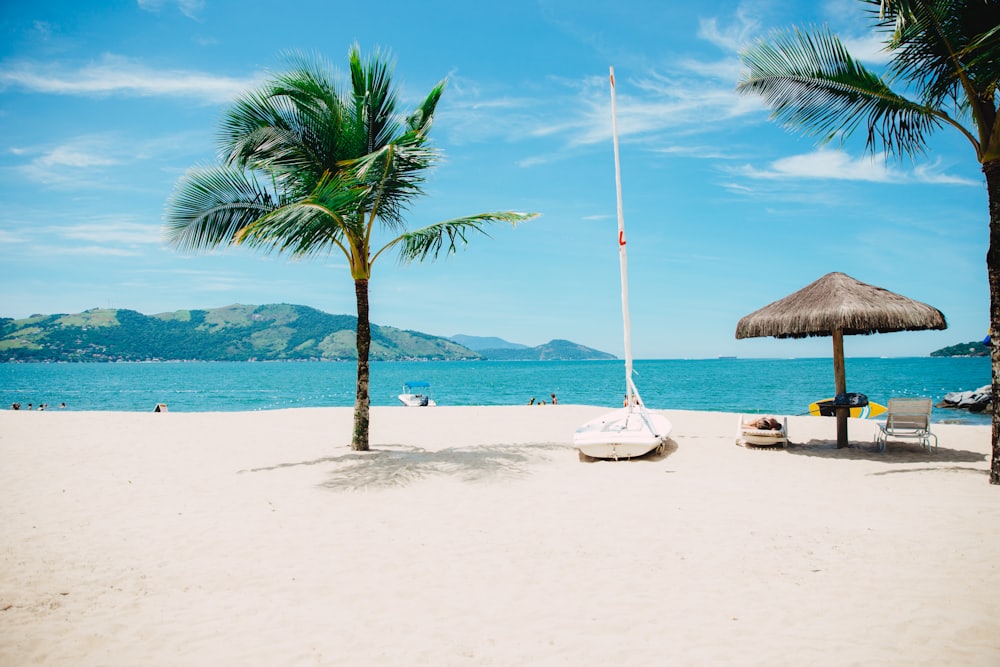 Praia tropical com palmeira e veleiro
